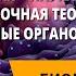 Цитология наука о клетке Клеточная теория Немембранные органоиды клетки