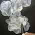 BOUQUET OF WHITE ROSES In Acrylic Painting Bouquet Roses Bouquetofflowers Easy Art Flowers
