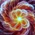 50 Orbits Around The Sun Andrea Ribeca FSOE