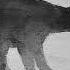 Olafur Arnalds Happiness Does Not Wait