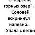 1924 Ревность Савин Иван