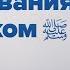 Празднования с Пророком ﷺ Встречи с Мухаммадом ﷺ Эпизод 7