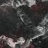 Spoiler Recoil Zardonic Remix