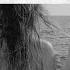 Y V E 48 Wicked Game Deep House Lucidity Music