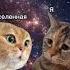 Дай денег просто сменаубеждений приколы