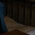 Fantastic Beasts And Where To Find Them Announcement Trailer HD
