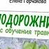 Курс ПОДОРОЖНИК