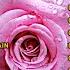 Best Old Love Songs 70s 80s 90s Best Love Songs Forever Romantic Love Songs Of All Time