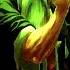 MAGNETIC FIELDS REMIX Of BY ROMAN