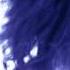 Teresa James Wind Cries The Blues
