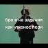 Seemee голодный пёс песня новоеимя Freshmen