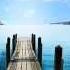 The Best Emotional Uplifting Trance 5