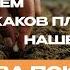 Каков плод нашей жизни 1 е Коринфянам 3 6 15 Андрей Мурашов