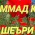 МУҲАММАД ЮСУФ ШЕЪРИ ЛОЛА КИЗГАЛДОК