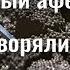 Икорный аферист что вытворяли в СССР Тюремные истории