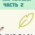 КЛУБЕНЬ КАРТОФЕЛЯ ЭТО ЧАСТЬ 2