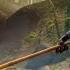 PAWS OF FURY THE LEGEND OF HANK Official Trailer Paramount Movies