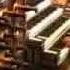 J S Bach Schafe Können Sicher Weiden BWV208 Willem Van Twillert Hinsz Organ Kampen NL