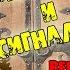 НОВЫЙ МОД Project Zomboid Build 37 14 ВЫЖИВАНИЕ BEDFORD FALLS 5