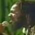 Dennis Brown The Legend Continue