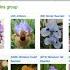 AIS Webinar 12 Exploring The Iris Encyclopedia By Bob Pries V1 720p H
