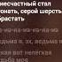ведьма и осел