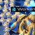 Scarlett S Greedy New Protoss Strategy StarCraft 2