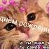 поздравление на день рождения на укулеле