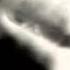 Chris Isaak Wicked Game 1989 Movie Wild At Heart 1990