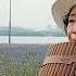 이름없는 새 손현희 1983년 강변가요제 대상 라이브연주