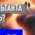 Живой эфир ваши вопросы мои ответы 18 00 по Кракову