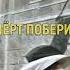 ЧЕРТ ПОБЕРИ БРИЛЛИАНТОВАЯ РУКА