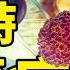 一小時看懂癌症 為什麼會有癌症 為什麼有些大型動物不會患癌 什麼是癌症演化 癌細胞曾經救治了幾億生命 如何利用癌變 思維實驗室 合輯