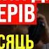 Як пенсіонеру платити менше за мобільний зв язок Найвигідніші тарифи в Україні