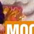 Moein Eshghe Moondegar معین عشق موندگار