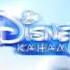 Зимние заставки рекламные блоки Disney Channel Россия декабрь 2016