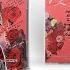 INNA Yo Bonus Tracks Edition UNBOXING