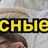 21 02 2022 Читаем фанфики о Вигуках Маруся на стриме