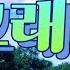 그래요 박앵두 배빵빵갱년기 배빵빵노래교실 악보