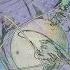 Ivri Planets And Faith