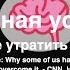 Карантинная усталость как и почему не утратить бдительность