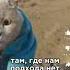кошачий переход Наталия Лансере детская песня про удивительного кота видео не моё