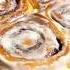 ԱՇԽԱՐՀԻ ԱՄԵՆԱՀԱՄԵՂ ԴԱՐՉԻՆՈՎ ԲՈՒԼԿԻՆԵՐԸ Cinnamon Cinnabon Cinnamonrolls Cinnamoroll Love Mood