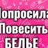 Standup стендап