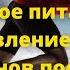 Спортивное питание Восстановление спортсменов после тренировки с помощью продуктов Coral Club