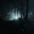 Haunted Forest Ambience And Music Sounds Of Dark Misty Forest With Ambient Music