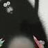 Splat The Cat First Day Of School Read Aloud Readaloud Firstdayofschool