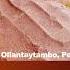 Необычные следы от инструмента по всему миру