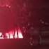 Pitbull Merriweather July 11 2019