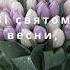 Чарівні привітання зі святом весни для найдорожчих жінок З 8 Березня